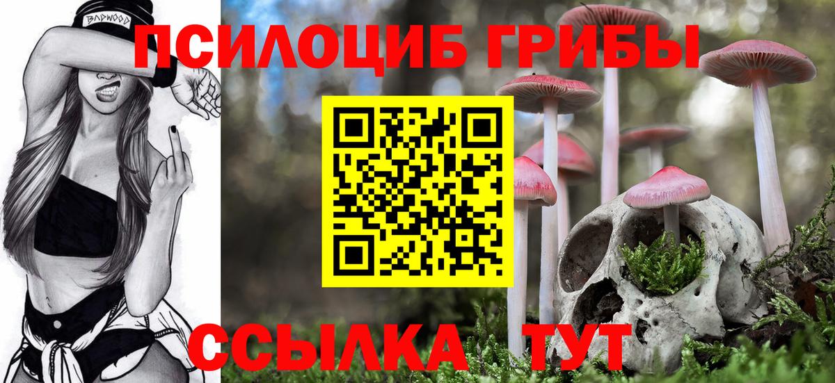 Галлюциногенные грибы прущие грибы Павловский Посад